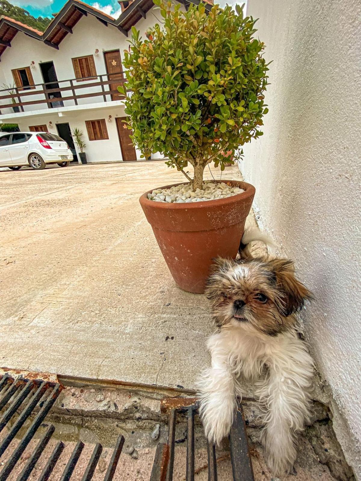 Bella Fonte Hotel Monte Verde  Buitenkant foto